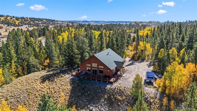 1954 Platte Dr, Fairplay, CO 80440 - photo 1
