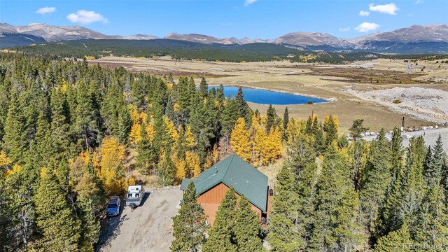 1954 Platte Dr, Fairplay, CO 80440 - photo 4