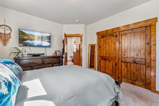1954 Platte Dr, Fairplay, CO 80440 - photo 19