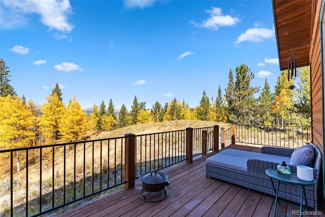 1954 Platte Dr, Fairplay, CO 80440 - photo 22