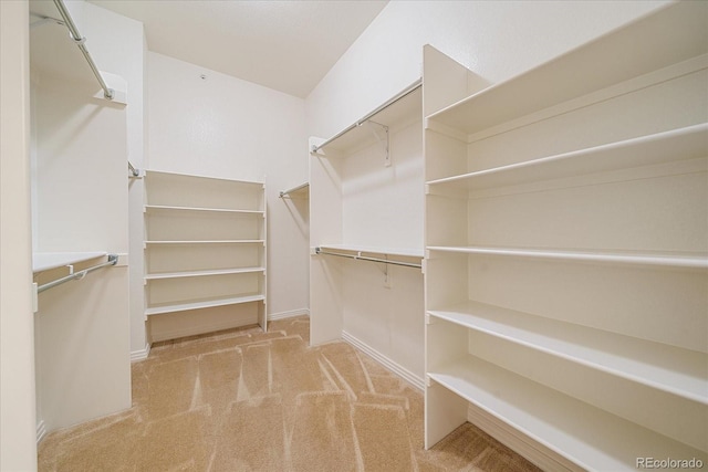 1130 Summit View Dr, Louisville, CO 80027 - spacious closet with carpet floors
