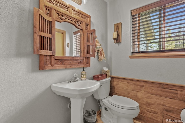 bathroom featuring toilet and a textured wall