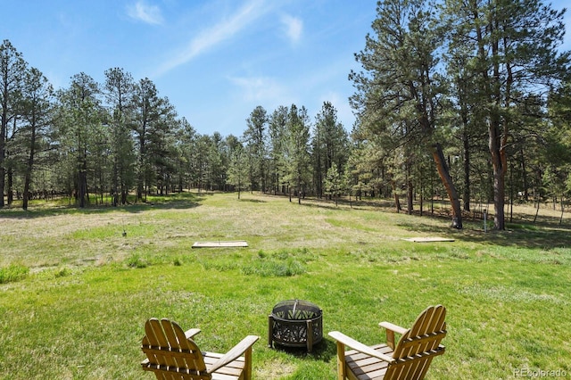 view of grassy yard
