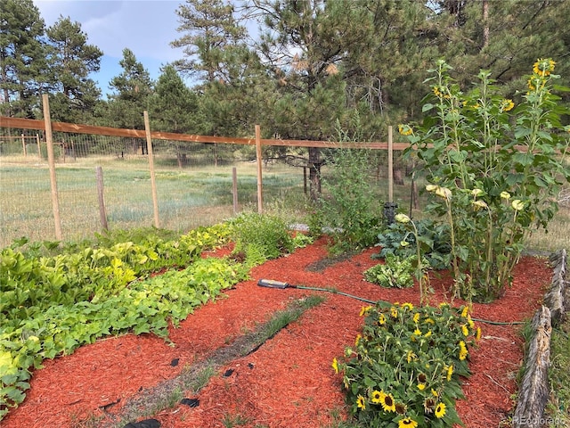 view of yard featuring fence and a vegetable garden