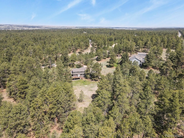 aerial view of a forest