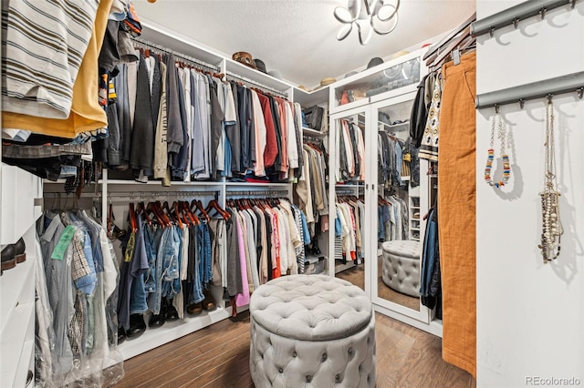 walk in closet featuring wood finished floors