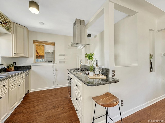 732 Poplar St, Denver, CO 80220 - kitchen featuring island exhaust hood, baseboards, dark wood-type flooring, appliances with stainless steel finishes, and a sink