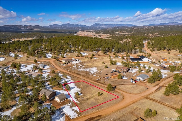 98 Andesite Ln, Florissant CO, 80816 land for sale