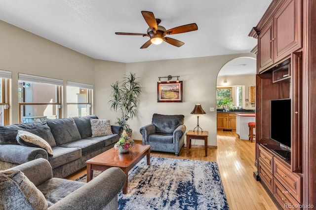 31 Black Fawn Ln, Westcliffe, CO 81252 - living room featuring light wood finished floors, arched walkways, and a ceiling fan