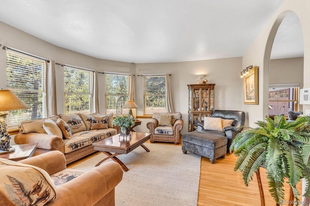 31 Black Fawn Ln, Westcliffe, CO 81252 - living area featuring arched walkways, a textured ceiling, and wood finished floors