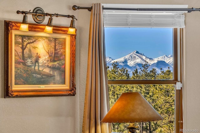 31 Black Fawn Ln, Westcliffe, CO 81252 - view of interior details