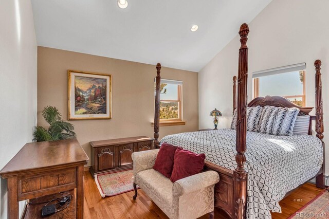 31 Black Fawn Ln, Westcliffe, CO 81252 - bedroom featuring multiple windows, lofted ceiling, and light wood-type flooring