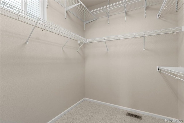 3632 Cassiopeia Ln, Fort Collins, CO 80528 - photo 13