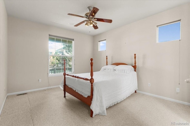 3632 Cassiopeia Ln, Fort Collins, CO 80528 - photo 14