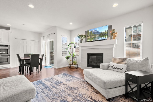 living room featuring a tile fireplace and dark wood-type flooring