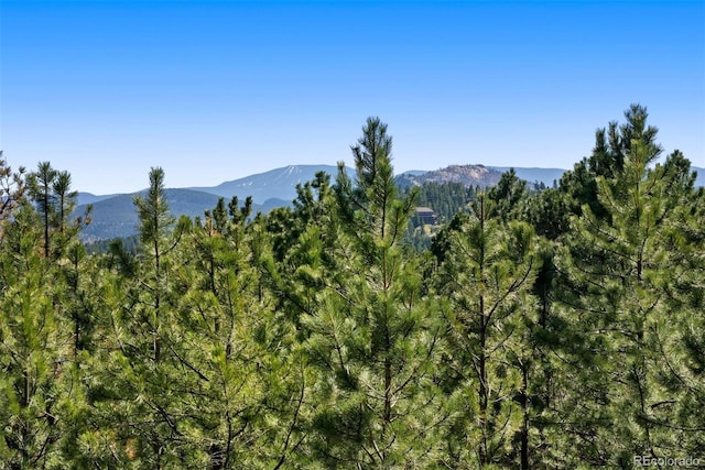 2976 Hiwan Dr, Evergreen, CO 80439 - view of mountain background