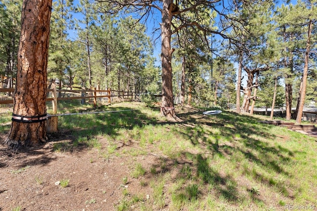 2976 Hiwan Dr, Evergreen, CO 80439 - view of yard with fence
