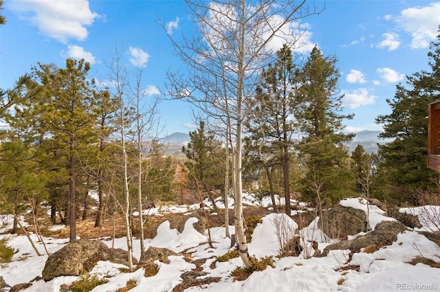 snowy view featuring a mountain view