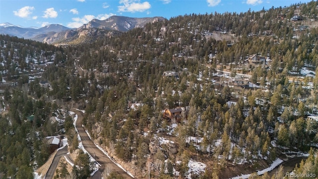 birds eye view of property featuring a mountain view