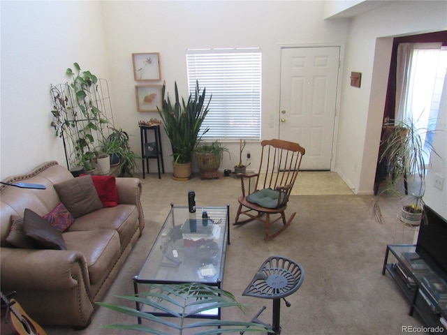 living area with carpet flooring