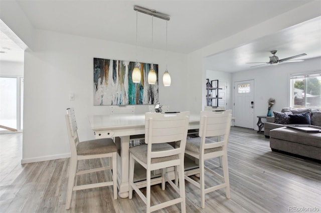 dining space with light hardwood / wood-style flooring and ceiling fan