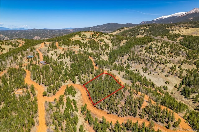 Brown Bear Dr, Cripple Creek, CO 80813