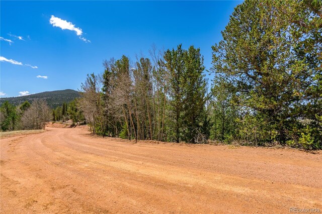 Brown Bear Dr, Cripple Creek, CO 80813