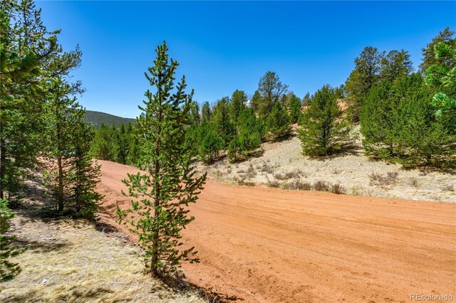 Brown Bear Dr, Cripple Creek, CO 80813