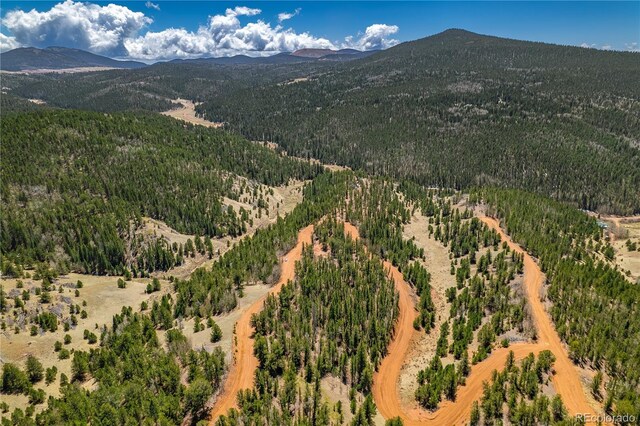 Brown Bear Dr, Cripple Creek, CO 80813