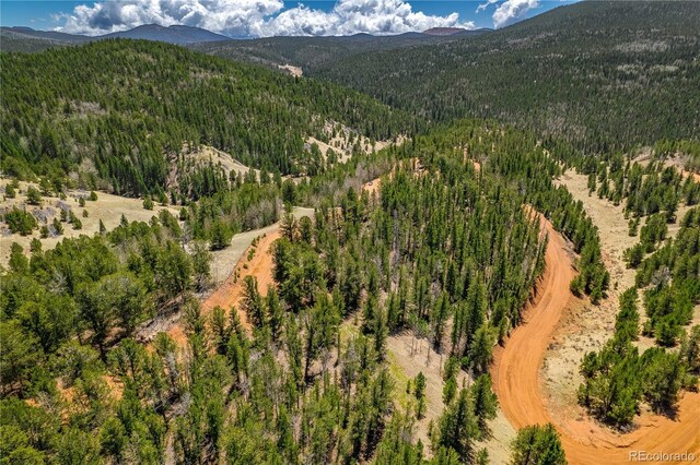 Brown Bear Dr, Cripple Creek, CO 80813