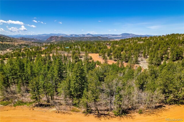 Brown Bear Dr, Cripple Creek, CO 80813