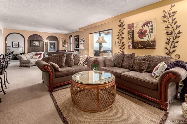 living room with a textured ceiling and carpet flooring