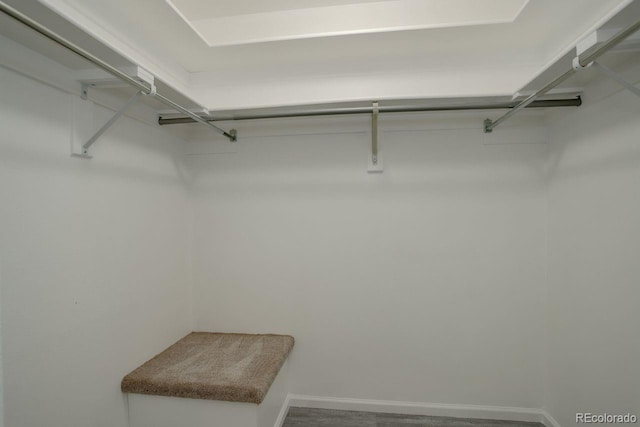 11186 E Baltic Dr, Aurora, CO 80014 - view of walk in closet