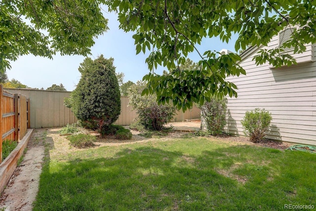 11186 E Baltic Dr, Aurora, CO 80014 - view of yard