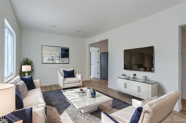 living room featuring hardwood / wood-style floors