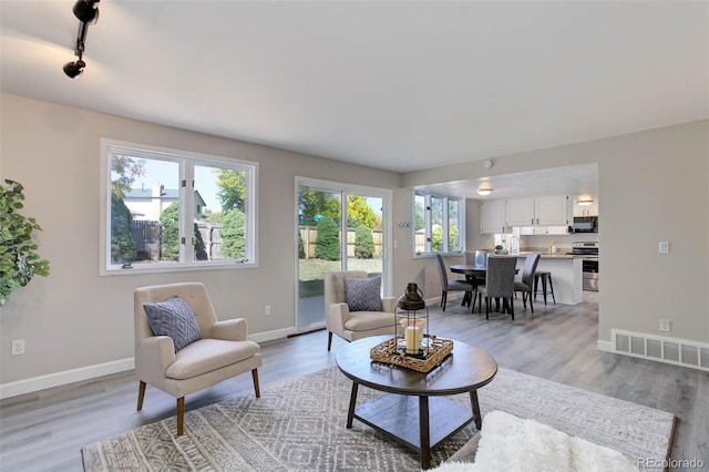 living room featuring light wood-type flooring