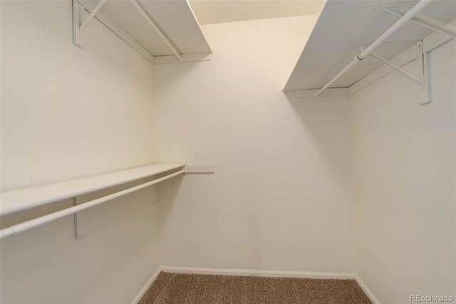 spacious closet with carpet flooring