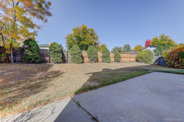 view of yard featuring a patio area