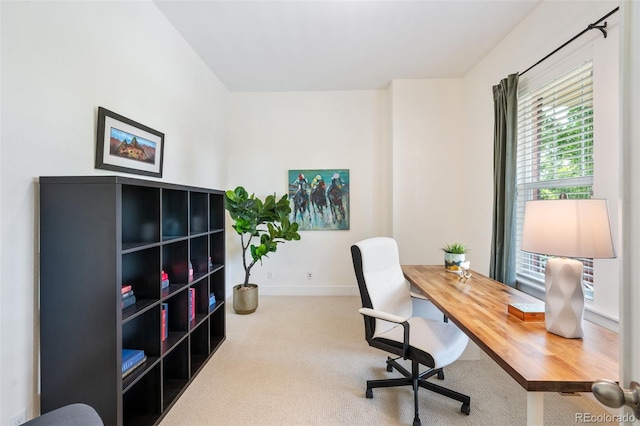 817 Uinta Way, Denver, CO 80230 - office space with carpet flooring and baseboards