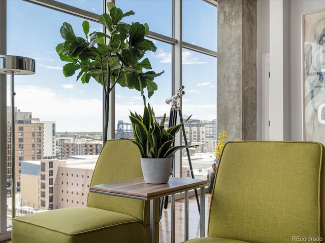 sitting room with a healthy amount of sunlight