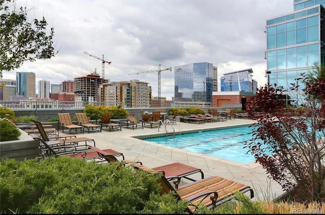 view of pool featuring a patio