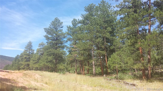 4467 Delaware Dr, Larkspur, CO 80118 - photo 1