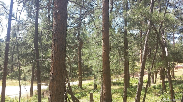4467 Delaware Dr, Larkspur, CO 80118 - photo 2