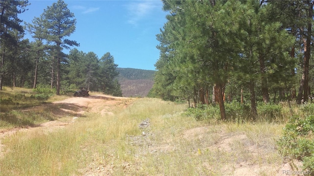 4467 Delaware Dr, Larkspur, CO 80118 - photo 3