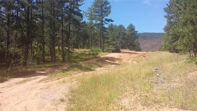 4467 Delaware Dr, Larkspur, CO 80118 - photo 4