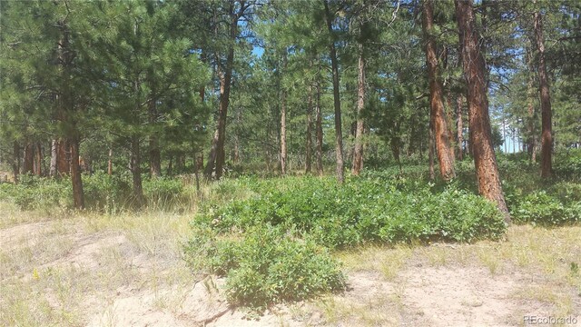 4467 Delaware Dr, Larkspur, CO 80118 - photo 5