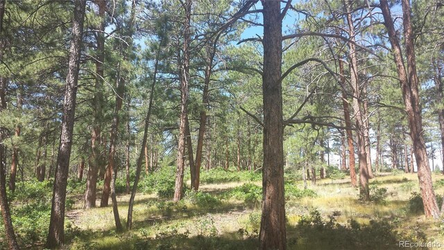 4467 Delaware Dr, Larkspur, CO 80118 - photo 6