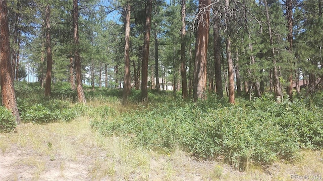 4467 Delaware Dr, Larkspur, CO 80118 - photo 7