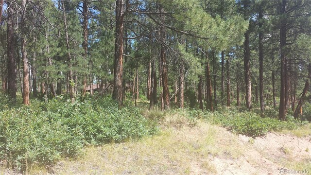 4467 Delaware Dr, Larkspur, CO 80118 - photo 8