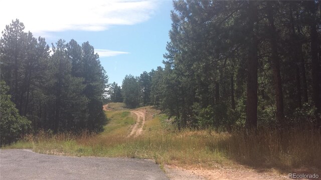 4467 Delaware Dr, Larkspur, CO 80118 - photo 9
